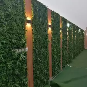 العشب الصناعي