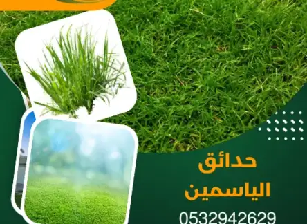 تنسيق حدائق جنوب الرياض – 0532942629 خصم 40% فترة محدودة