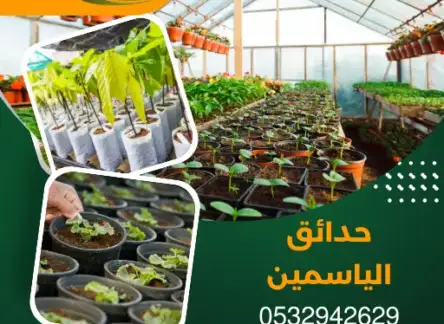 مشتل زراعي بالدمام 0532942629 توريد اشجار ونباتات وورود