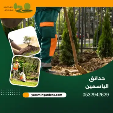 مشتل زراعي توريد أشجار العزيزية الدمام