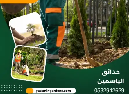 مشتل زراعي توريد أشجار العزيزية الدمام