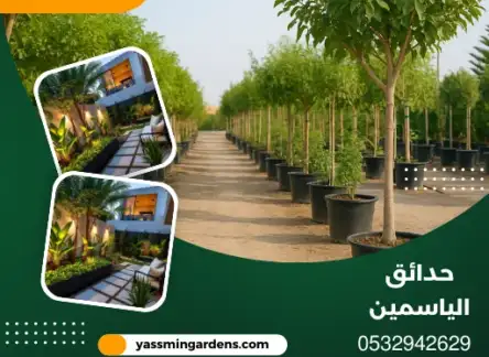 مشتل زراعي وتوريد جميع انواع الاشجار الخبر 0532942629