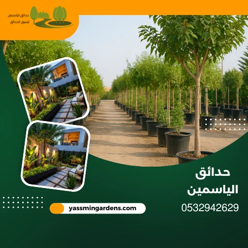 مشتل زراعي وتوريد جميع انواع الاشجار الخبر 0532942629