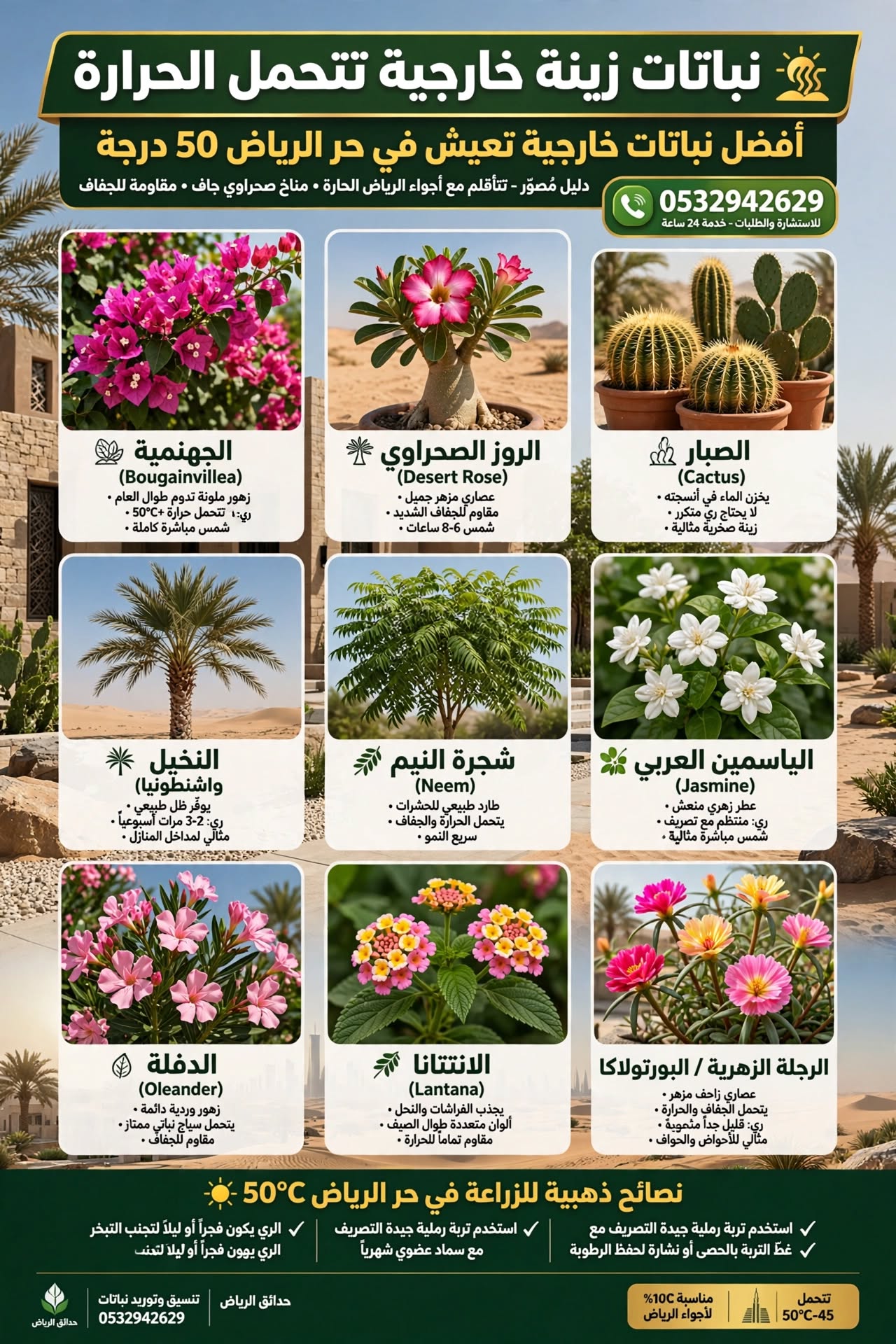 نباتات زينة خارجية تتحمل الحرارة 0532942629 | أفضل نباتات خارجية تعيش في حر الرياض 50 درجة